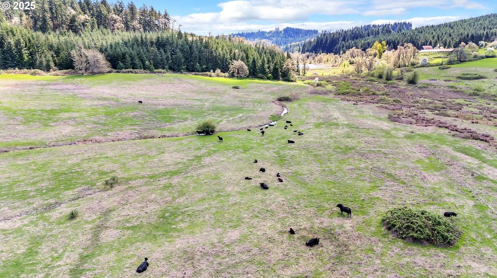 26900 Crow Rd, Eugene, OR - More