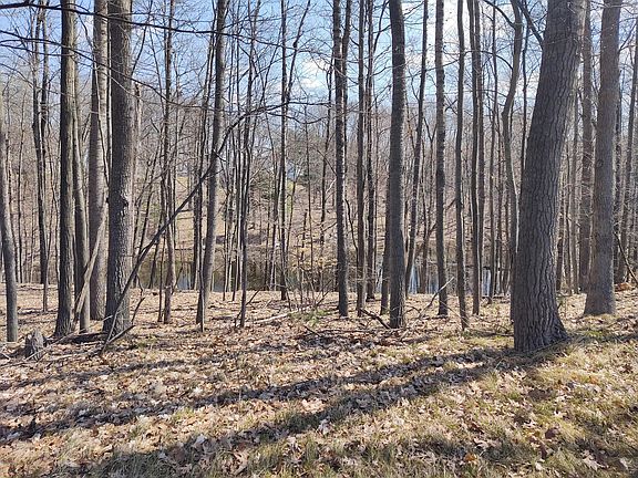 4th image of 9131 Briarstone Dr #21