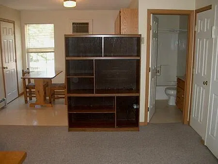 Enternainment Console