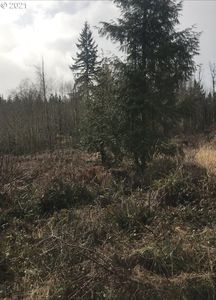 Heath Rd, Rainier, OR, 97048
