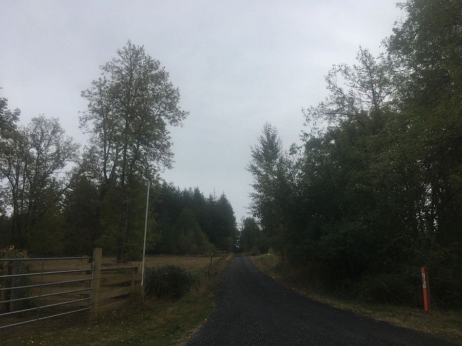 2nd image of 137 Conifer Ln