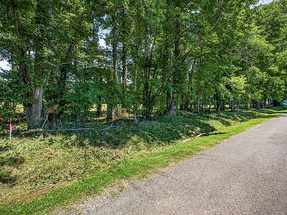 4th image of 0 Lowery Rd Lot 2