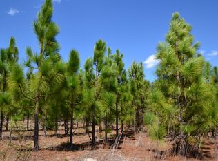 5659 State Highway 28 31 S, Jefferson, SC 29718