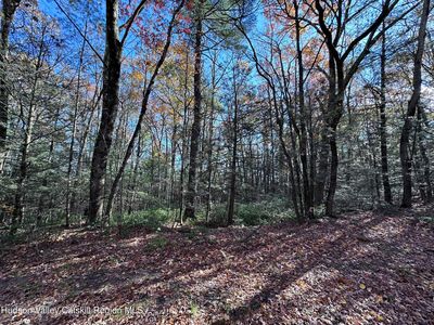 Lot 2 Upper Cherrytown Road, Kerhonkson, NY, 12446