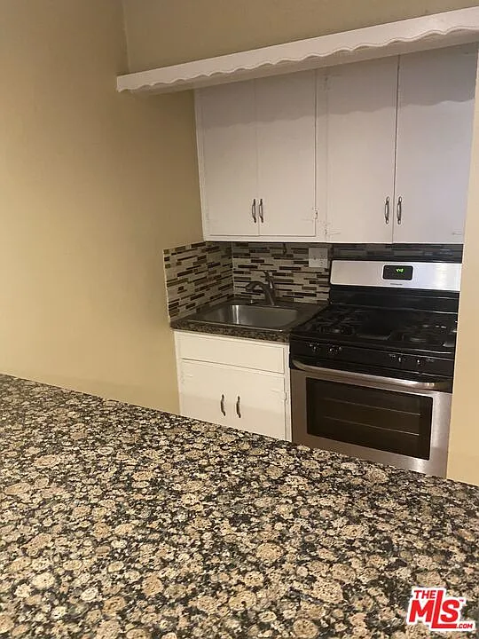 1 bed, 1.0 bath, 550 sqft, $1,895 — Photo 4