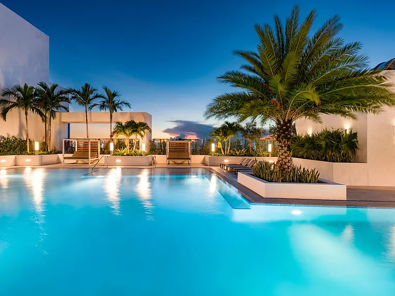Twilight elegance awaits at Modera Riverside's rooftop pool, where palm-lined waters meet the glow of the Miami skyline.
