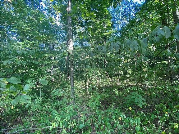 3rd image of Edie Hill Rd SE