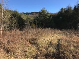 1021 Lightnen Rd, Parrottsville, TN 37843