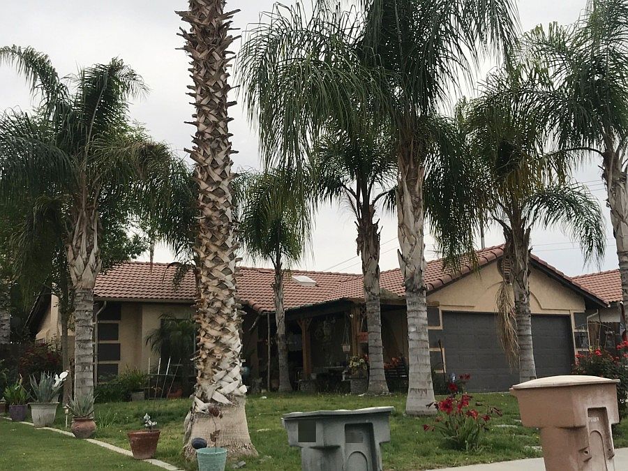 2nd image of 4813 Peacock Ct