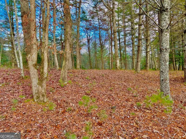 0 Hawks Vw, Morganton, GA 30560
