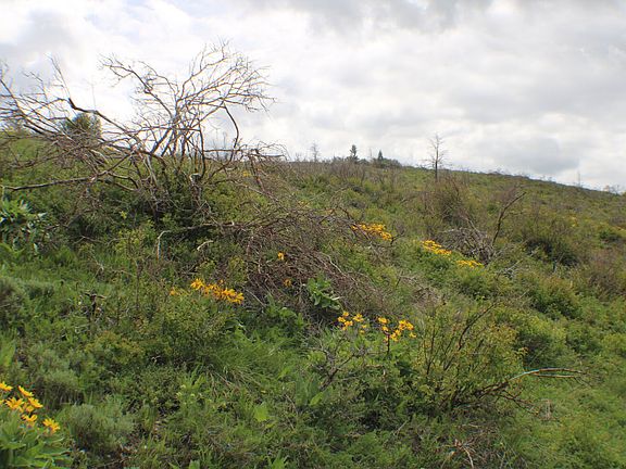 5th image of Caribou Village Subdivision Phase 1 Block 2 Lots 4