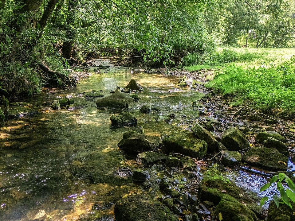 1st image of 2203 Stones River Rd