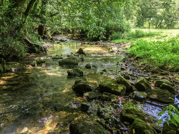 2203 Stones River Rd, Woodbury, TN 37190