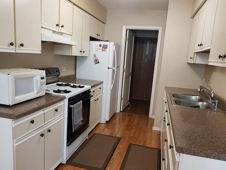 1801 Appaloosa Dr — Photo 5