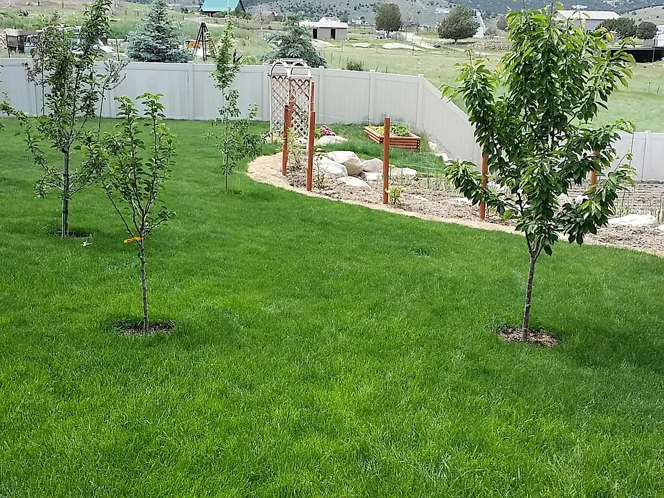 Backyard and Gardening area