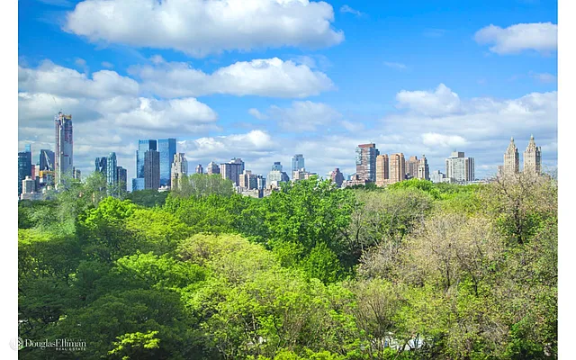 Sold by Douglas Elliman | media 7