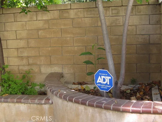 19 Coriander — Photo 12