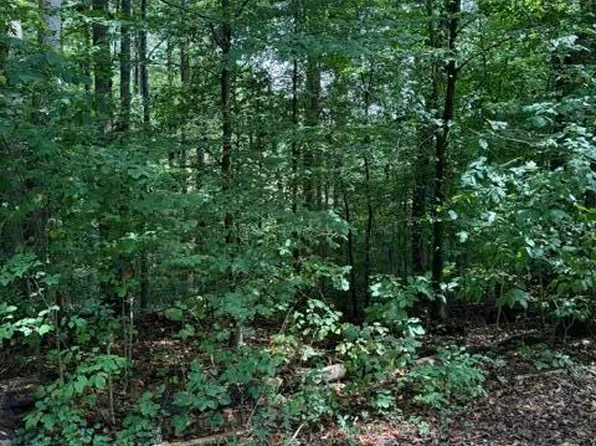 Rock Hill Rd, Maryville, TN 37804