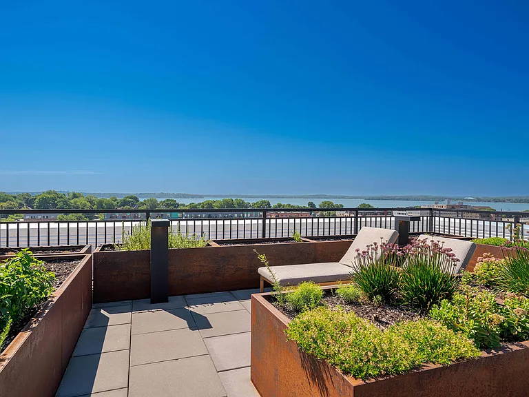 Rooftop View