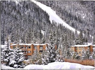 1513 E Keystone Rd #2972, Dillon, CO 80435