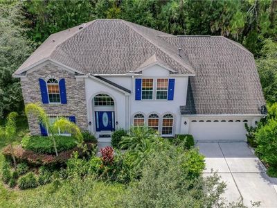 16116 Colchester Palms Dr, Tampa, FL, 33647