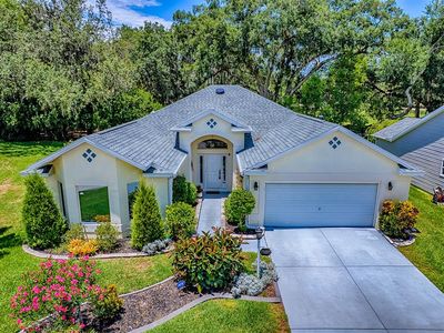 17037 SE 76th Creekside Cir, The Villages, FL, 32162