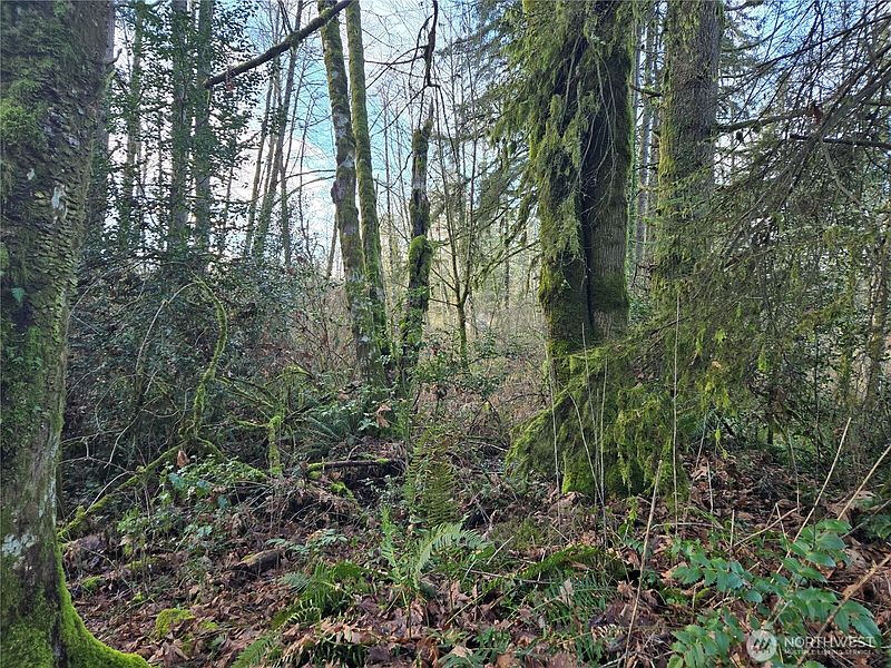 2nd image of 233 XX State Highway 3 NW