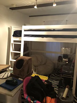 Rented by Sky Management | media 29