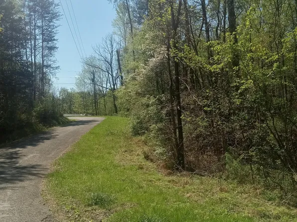 0 Mountain Rd, Tellico Plains, TN 37385