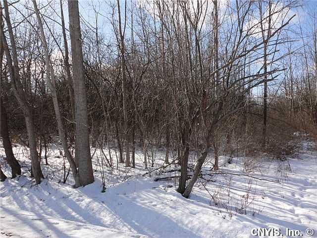 2nd image of 4527 NE Townline Rd