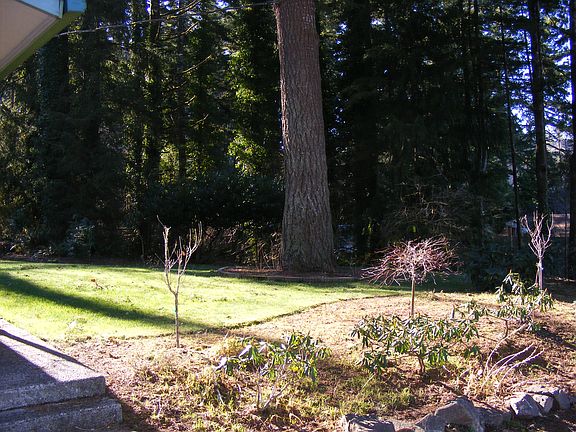 5th image of 1070 NW Sunset Dr