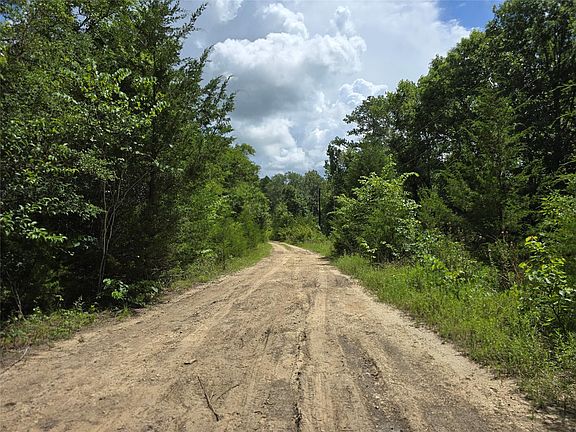 4th image of Nelson Ln