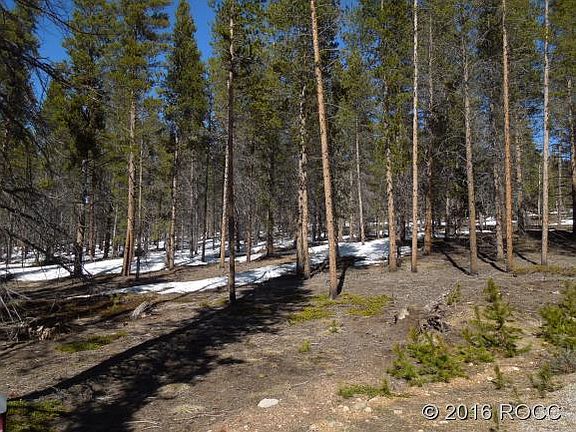3rd image of 5 Elk Trl