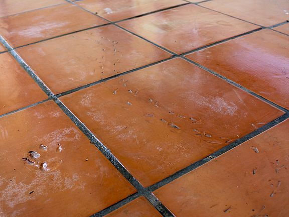 Beautiful Saltillo Tile