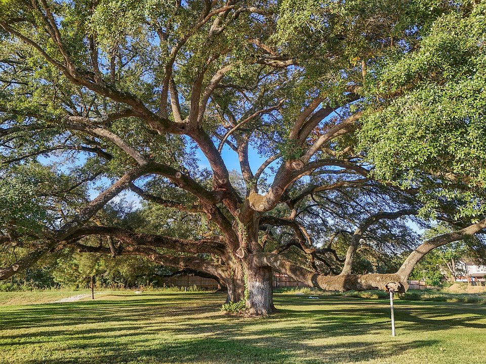 1st image of 21803 Red Oak View Ct