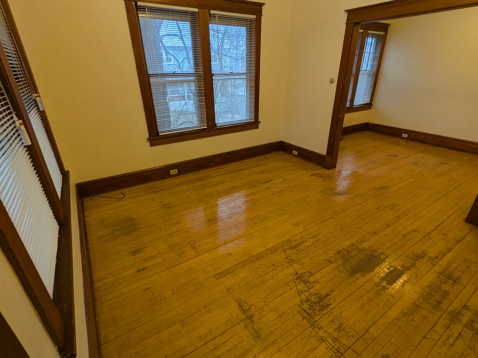 1 bed, $850 — Photo 1