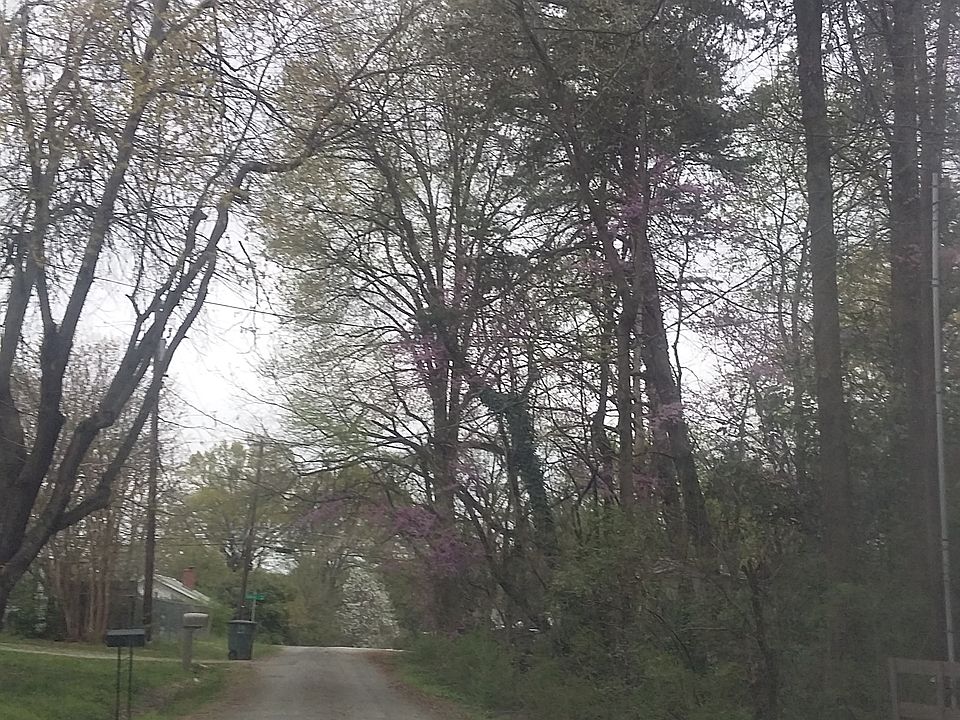 2nd image of 4110 Royal Ave