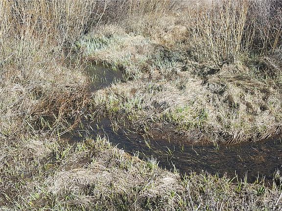 4th image of TBD BLUESTEM Way