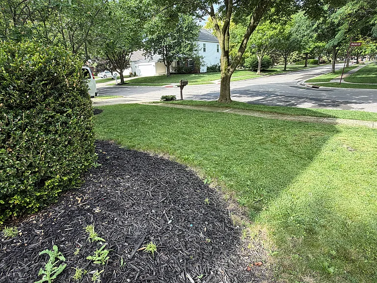 5591 Barney Dr — Photo 4
