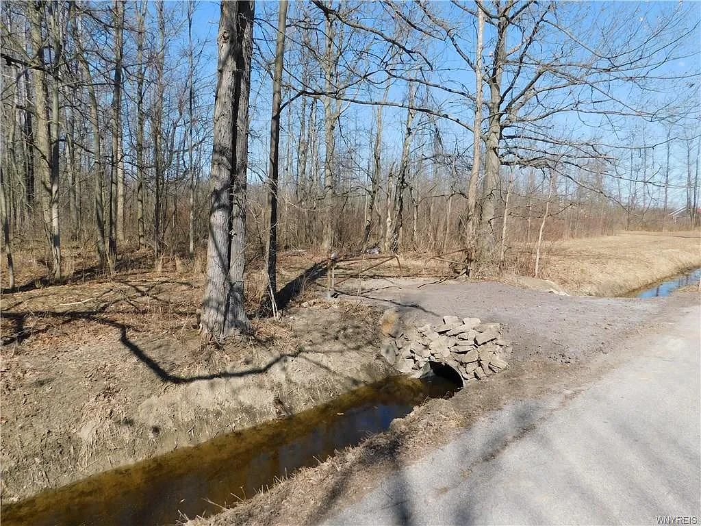 9775 Heroy Rd photo 1