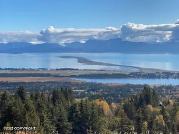 481 Skyline Dr, Homer, AK 99603