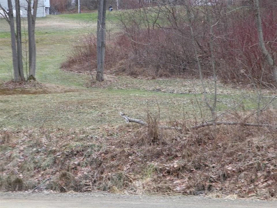 2nd image of Seneca St