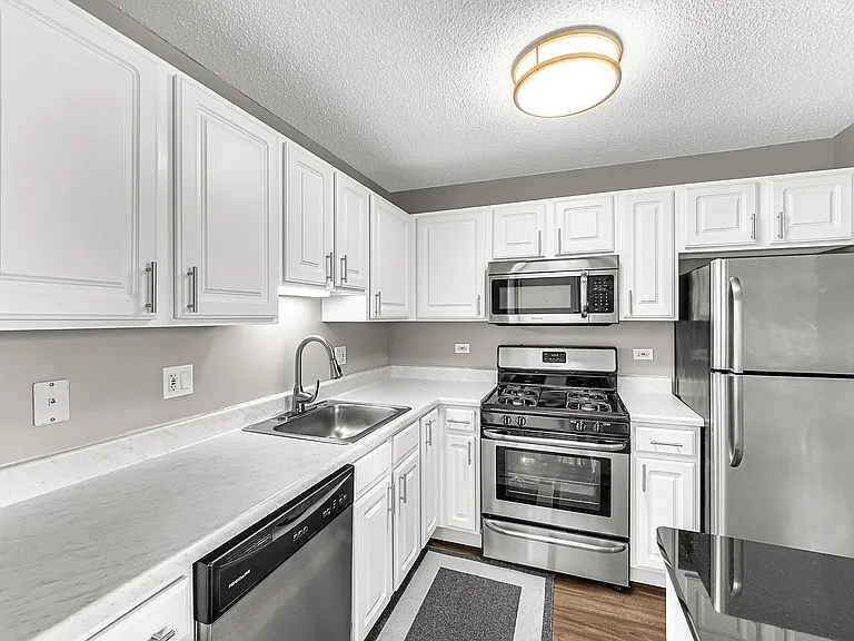 545 N Dearborn St #3006 — Photo 9