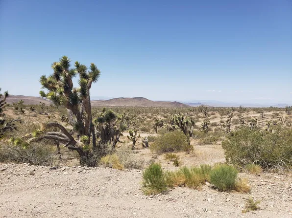 8446 & 8454 W Olema Dr, Willow Beach, AZ 86445