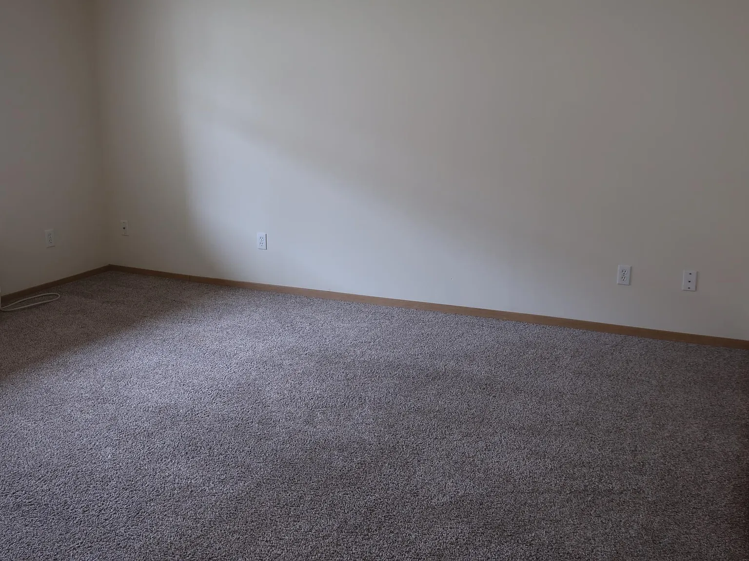 2 bed, 1001 sqft, $1,500 — Photo 3