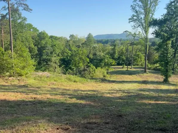 Reva Rd, Reva, VA 22735