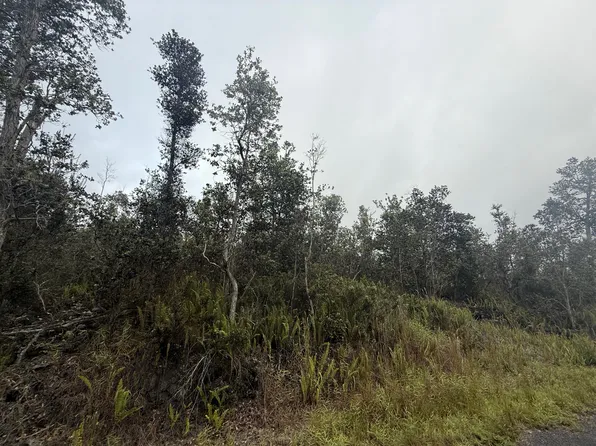 92-9172 Tree Fern Ln Lot 15, Captain Cook, HI 96704