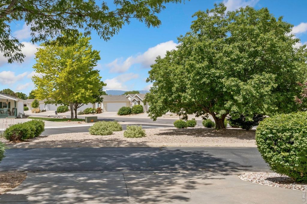 772 Vitala Dr