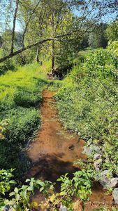 0 Tabor Rd, Olin, NC, 28660