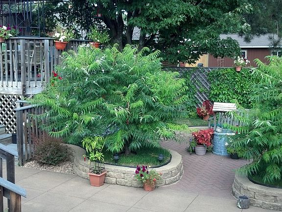 Brick and tan (dyed) patio